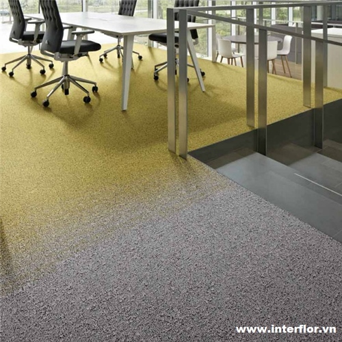 Thiết kế chuyển màu thảm trải sàn trong không gian làm việc 